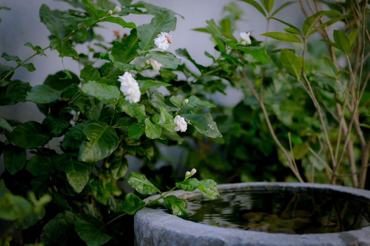 The Purple Hue Homestay المظهر الخارجي الصورة